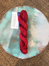 Load image into Gallery viewer, Malabrigo Caprino
