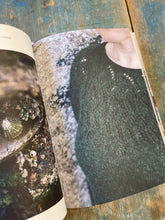Load image into Gallery viewer, Grand Shetland Adventure Knits book by Mary Jane Mucklestone and Gudrun Johnston