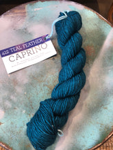 Load image into Gallery viewer, Malabrigo Caprino