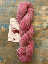 Load image into Gallery viewer, Illimani Feli