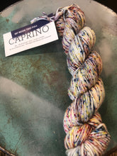 Load image into Gallery viewer, Malabrigo Caprino