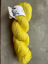 Load image into Gallery viewer, Amirisu Parade