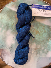Load image into Gallery viewer, Malabrigo Caprino