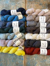 Load image into Gallery viewer, Amirisu Parade