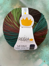 Load image into Gallery viewer, Regia Merino Yak Color