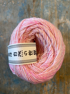 Noro Akari