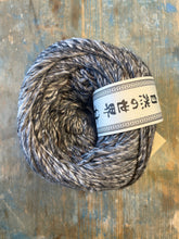 Load image into Gallery viewer, Noro Akari
