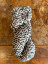 Load image into Gallery viewer, Cascade Yarns Eco Merino DK
