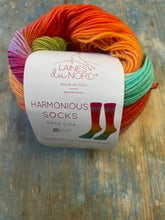 Load image into Gallery viewer, Laines Du Nord Harmonious Socks
