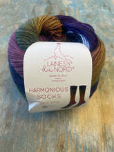 Load image into Gallery viewer, Laines Du Nord Harmonious Socks
