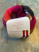 Load image into Gallery viewer, Laines Du Nord Harmonious Socks
