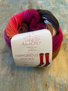 Laines Du Nord Harmonious Socks