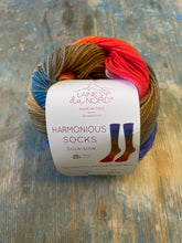 Load image into Gallery viewer, Laines Du Nord Harmonious Socks
