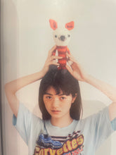 Load image into Gallery viewer, Lumieres Daruma Collection 2025 book
