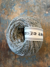Load image into Gallery viewer, Noro Akari
