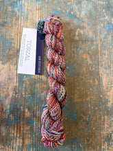 Load image into Gallery viewer, Malabrigo Torzal
