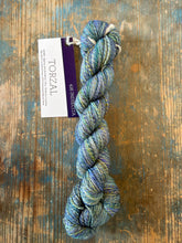 Load image into Gallery viewer, Malabrigo Torzal
