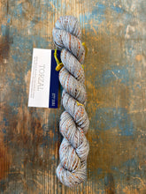 Load image into Gallery viewer, Malabrigo Torzal
