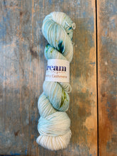 Load image into Gallery viewer, Dream in Color Smooshy Cashmere
