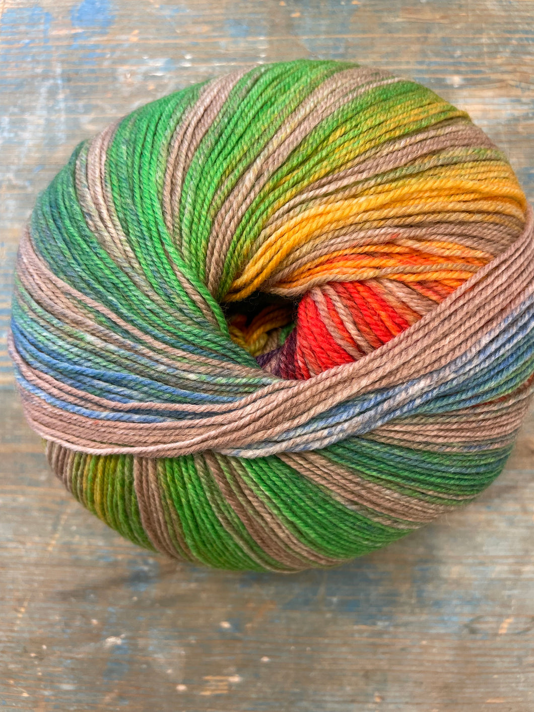 Laines du Nord Paint Sock