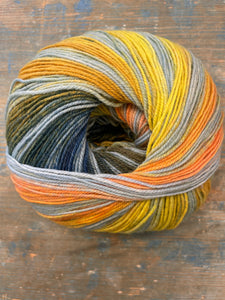 Laines du Nord Paint Sock