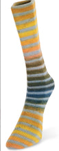 Load image into Gallery viewer, Laines du Nord Paint Sock
